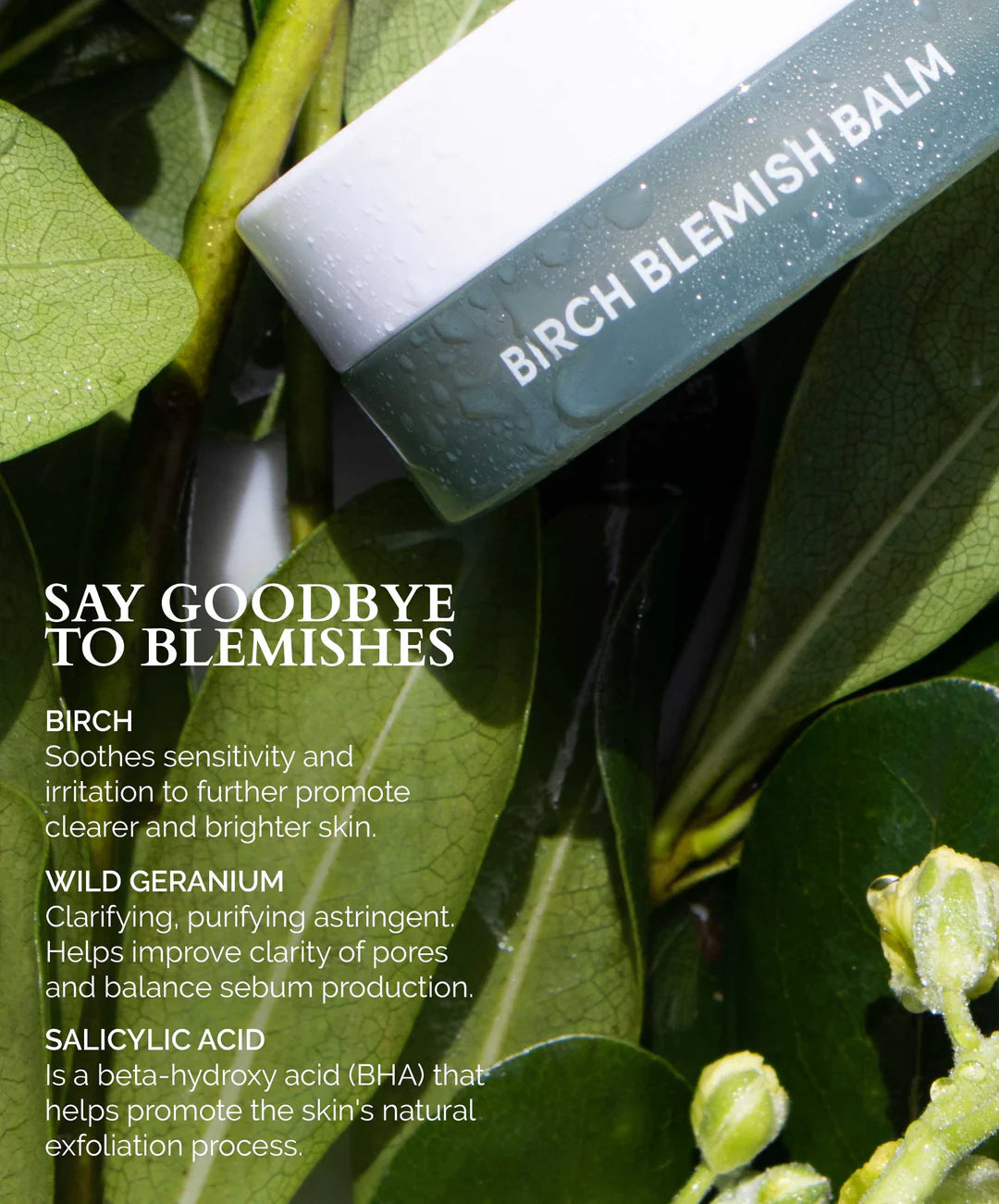 Fitglow Beauty Birch Blemish Balm